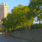 Downtown Columbus